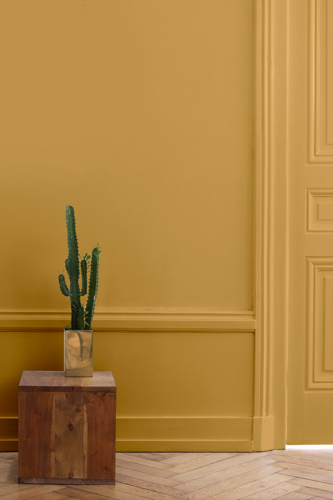 peinture-murale-velours-de-peinture-couleur-jaune-calisson-inspiration peinture-murale-velours-de-peinture-couleur-jaune-calisson-inspiration