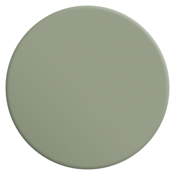 VELOURS DE PEINTURE ® - Couleur Gris Pleurotte