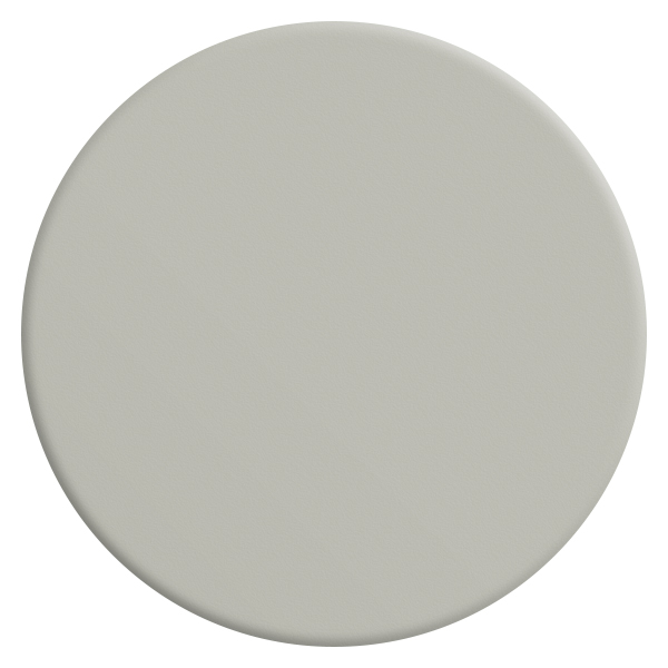 gris-pleurotte