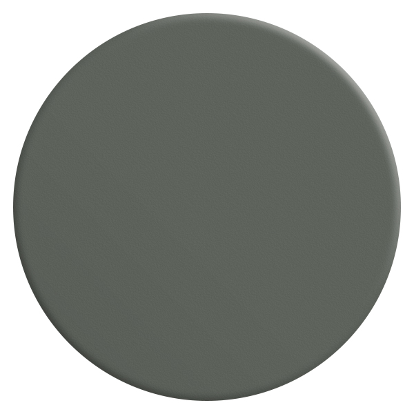 gris-plomb