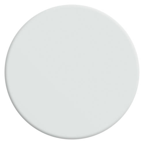 velours-de-peinture-couleur-blanc-camélia