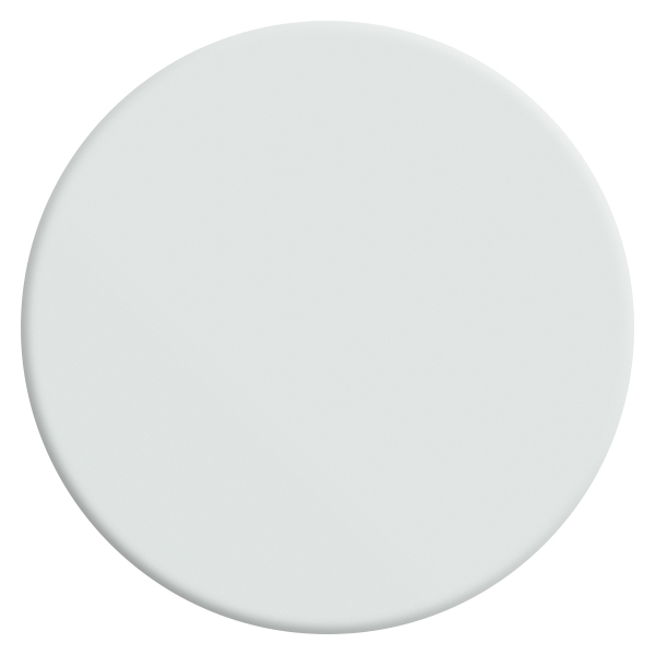 velours-de-peinture-couleur-blanc-camélia