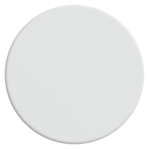 velours-de-peinture-couleur-blanc-chiffon